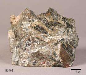 Actinolite