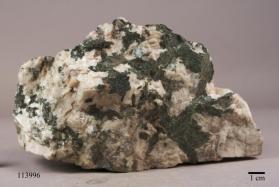 Actinolite