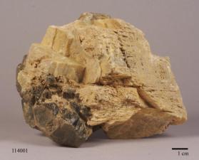 Amphibole Group