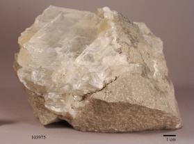 selenite