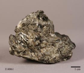 Biotite