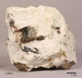 Phlogopite