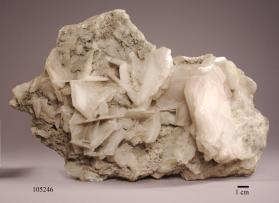 CALCITE