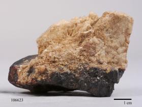 Manganocolumbite with Albite and SPODUMENE