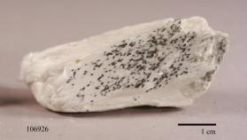 Pectolite