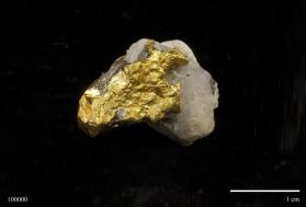 Gold with Quartz