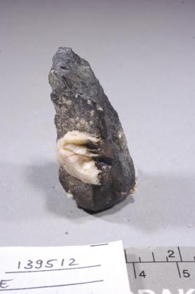 Manganocolumbite