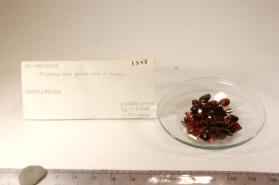 ALMANDINE