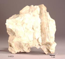 TREMOLITE