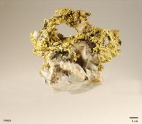 Gold with Quartz