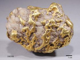 Gold with Quartz