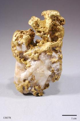 Gold with Quartz