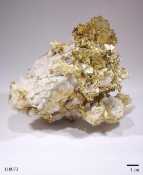 Gold with Quartz