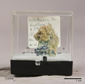 Whitmoreite with Ludlamite and Strunzite