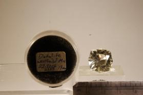 DATOLITE