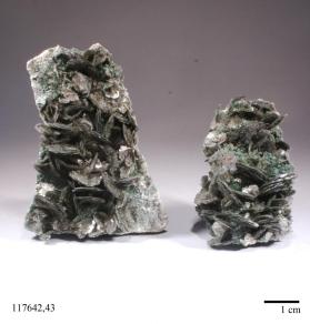 Muscovite