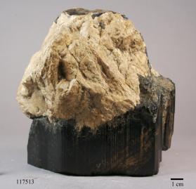 SCHORL