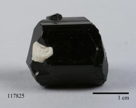 SCHORL