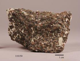 GROSSULAR with DIOPSIDE and Wollastonite