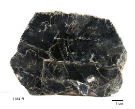 Biotite