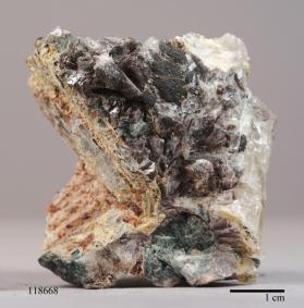 Triplite