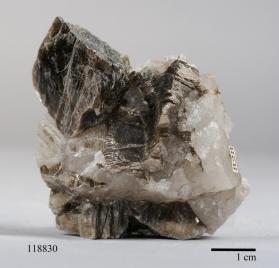 Muscovite