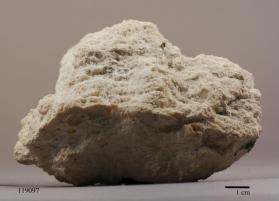 Triploidite