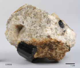 SCHORL