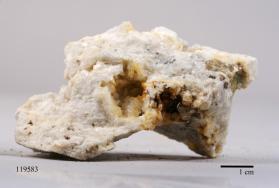 Whitlockite