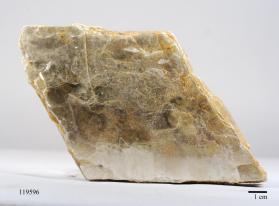 Muscovite