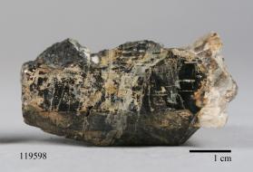 Columbite-(Fe) with MICROCLINE and Muscovite and Quartz