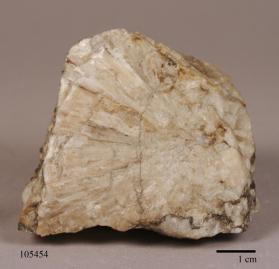 Barylite