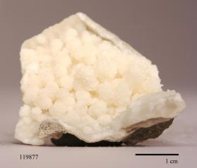 CALCITE