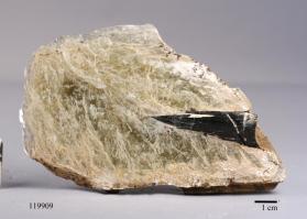 Muscovite