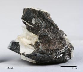 CASSITERITE