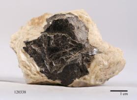 CASSITERITE