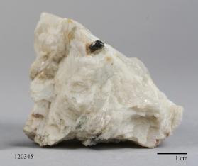 CASSITERITE