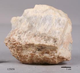 PETALITE