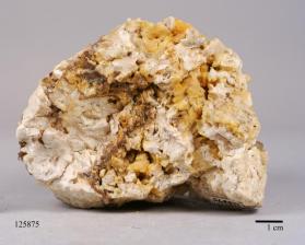 FLUORAPATITE with Albite and Muscovite