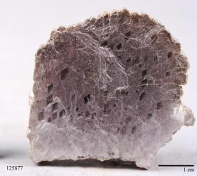 Lepidolite