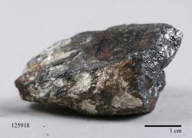 Columbite-(Fe) with Muscovite