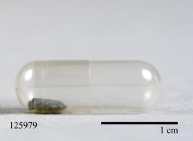 Columbite-(Fe) with Albite and Muscovite and Quartz