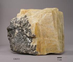 Columbite-(Fe)