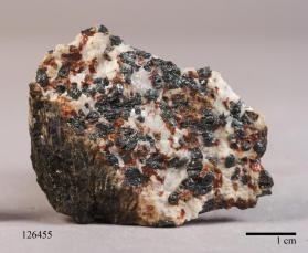 Lawsonbauerite