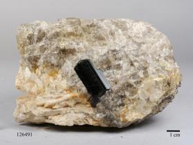 SCHORL