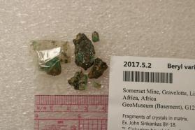 Beryl variety Emerald in Biotite