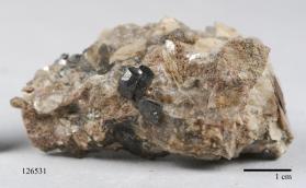 Columbite-(Fe) with ALMANDINE and MICROCLINE and Muscovite and Quartz