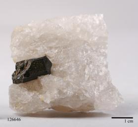 SCHORL