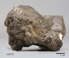 Muscovite