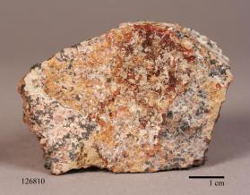 Kolicite